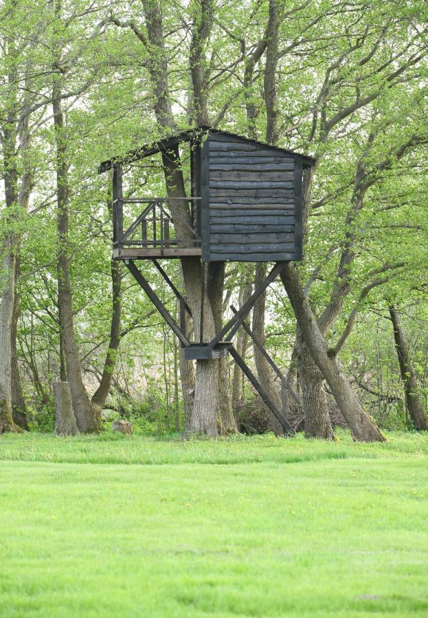 Kaimo Turizmo Sodyba Satavi Kinty Exterior foto