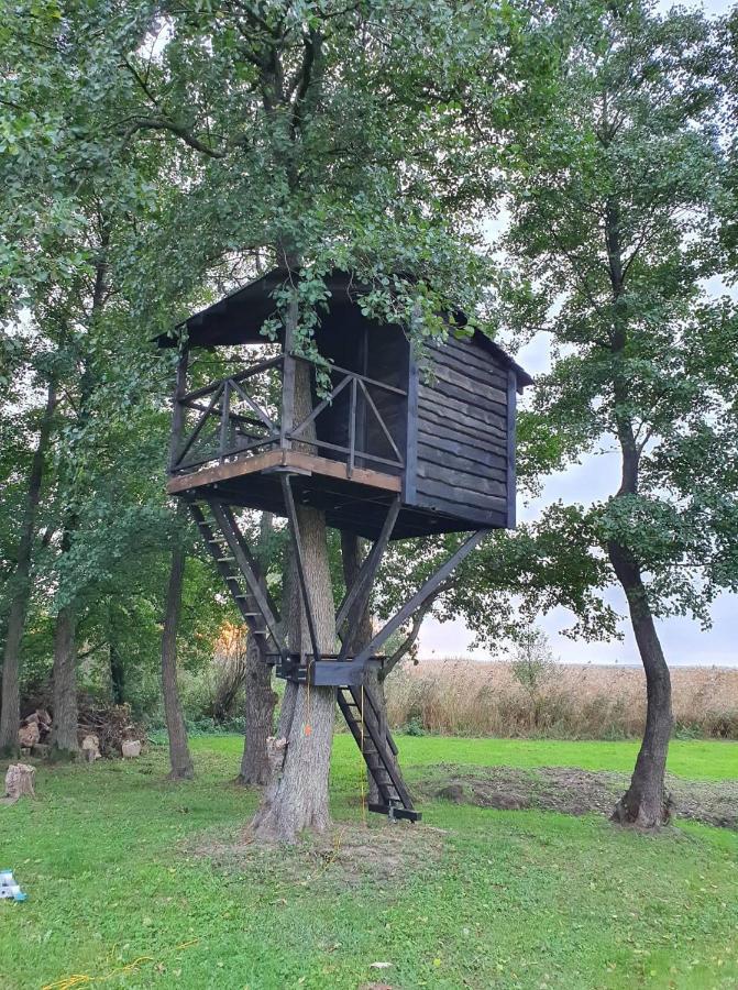 Kaimo Turizmo Sodyba Satavi Kinty Exterior foto