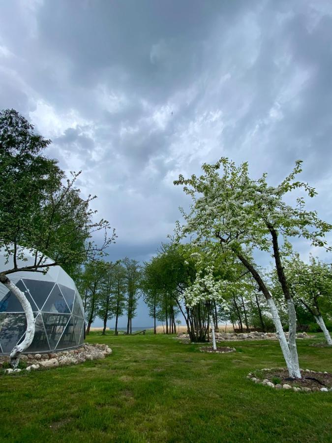 Kaimo Turizmo Sodyba Satavi Kinty Exterior foto
